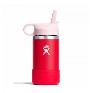 Hydro Flask 12 oz Wide Mouth w/ Straw Kids' Water Bottle Goji red | GAEF-59127