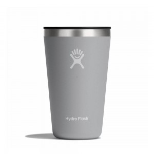 Hydro Flask 16 oz All Around™ Tumbler Birch Grey | FXRN-69140