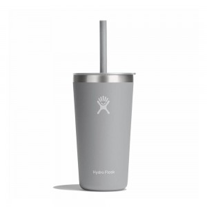 Hydro Flask 20 oz All Around™ with Straw Lid Tumbler Birch Grey | FSVJ-97150