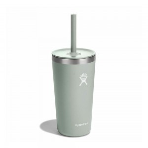 Hydro Flask 20 oz All Around™ with Straw Lid Tumbler Agave Green | GMYB-32198