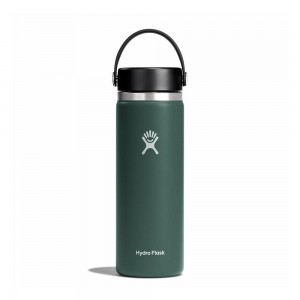 Hydro Flask 20 oz Wide Mouth: 20 oz Insulated Water Bottle Fir Green | WLPQ-79342