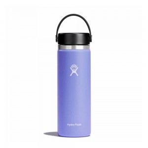 Hydro Flask 20 oz Wide Mouth: 20 oz Insulated Water Bottle Lupine Purple | RMGY-30497