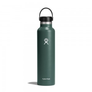 Hydro Flask 24 oz Standard Mouth: 24 oz Water Bottle Fir Green | EXTF-48327