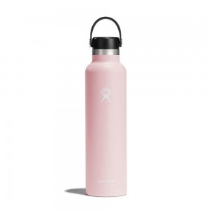 Hydro Flask 24 oz Standard Mouth: 24 oz Water Bottle Trillium Pink | AZFE-42378