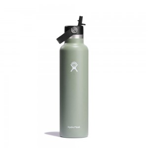 Hydro Flask 24 oz Standard Mouth with Flex Straw Water Bottle Agave Green | IWZX-29075