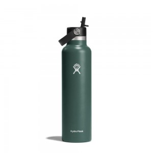 Hydro Flask 24 oz Standard Mouth with Flex Straw Water Bottle Fir Green | BPTC-70135