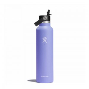 Hydro Flask 24 oz Standard Mouth with Flex Straw Water Bottle Lupine Purple | LCIF-41087