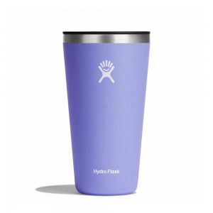 Hydro Flask 28 oz All Around: 28 oz Cup Lupine Purple | GOHA-82705