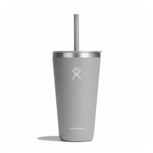 Hydro Flask 28 oz All Around™ with Straw Lid Tumbler Birch Grey | ADOM-91324