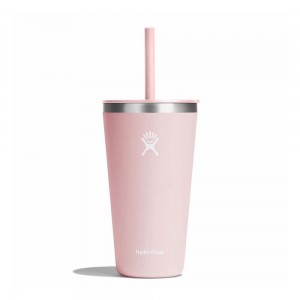 Hydro Flask 28 oz All Around™ with Straw Lid Tumbler Trillium Pink | SEUG-20857