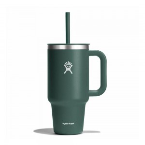 Hydro Flask 32 oz All Around™ Travel Tumbler Fir Green | DZJI-83740