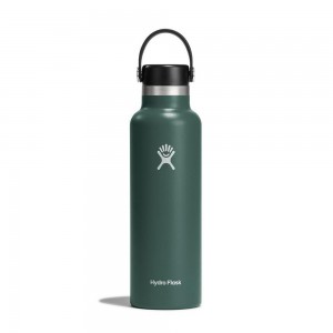 Hydro Flask 32 oz Wide Mouth: 32 oz Insulated Water Bottle Stone Grey | FYAE-30419