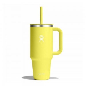 Hydro Flask 40 oz All Around™ Travel Tumbler Cactus Yellow | WDSX-57069