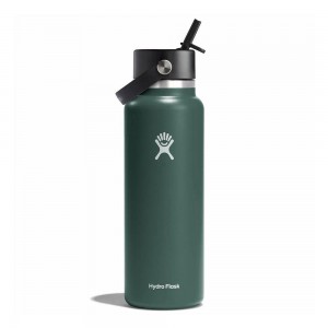 Hydro Flask 40 oz Wide Mouth w/ Flex Straw Water Bottle Fir Green | RLHP-02973