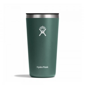 Hydro Flask All Around 20 oz Cup Fir Green | AUZH-90735