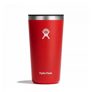 Hydro Flask All Around 20 oz Cup Goji red | PUSK-42671