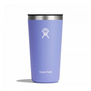 Hydro Flask All Around 20 oz Cup Lupine Purple | URHQ-42186